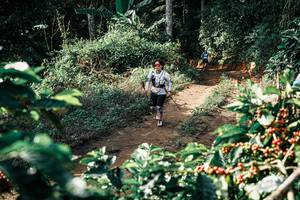 BIB: 
                            <button type="button" onclick="openModal(25856826)" class="btn btn-primary btn-sm float-right btn-popup" data-toggle="modal" data-target=".modal-high-quality">
                        <i class="fas fa-shopping-cart"></i> Add to Cart
                    </button>
                                            <button type="button" onclick="isThisMe(25856826, true)" class="btn btn-success btn-sm float-right btn-popup btn-isme hidden" data-toggle="tooltip" data-placement="bottom" title="นี่คือรูปของคุณใช่ไหม คลิกที่นี่เพื่อเอาเข้าอัลบั้ม">
                        <i class="fas fa-plus"></i> Add to album
                    </button>
                    <button type="button" onclick="isThisMe(25856826, false)" class="btn btn-warning btn-sm float-right btn-popup btn-isnotme hidden">
                        <i class="fas fa-ban"></i> Remove from album
                    </button>